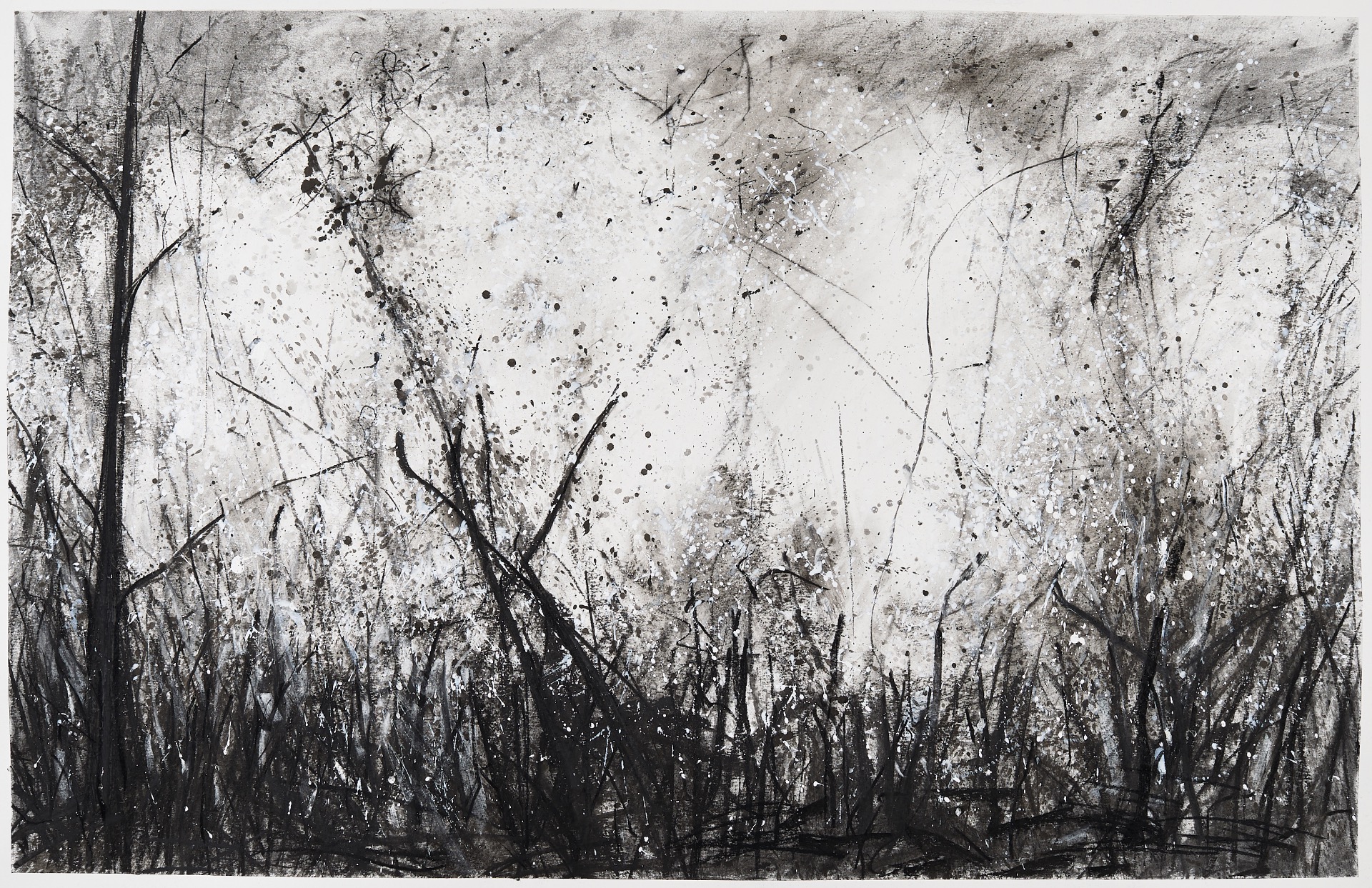 natuurschets uitgewerkt op groot formaat atelier