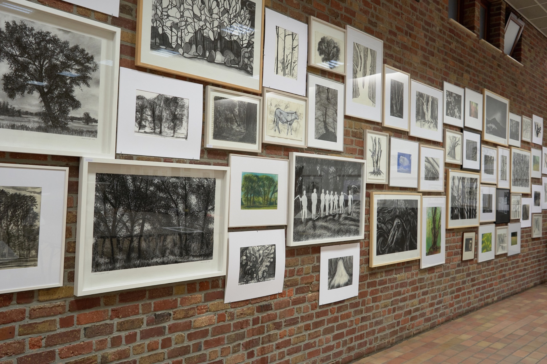 Thema Natuur - fotografie - pastel - houtskool